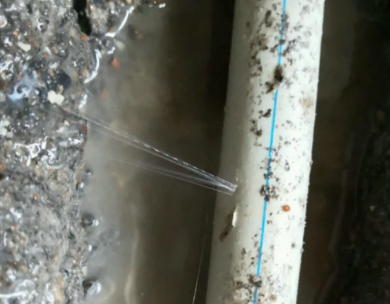 铁山测漏水哪家好