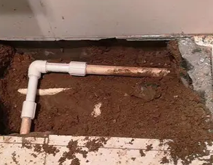 铁山测漏水哪家好