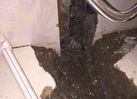 铁山卫生间测漏水哪家好