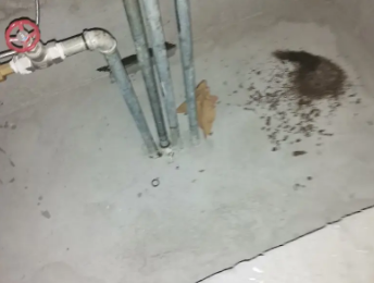 铁山卫生间测漏水价格明细