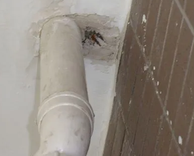 铁山漏水检测哪家好